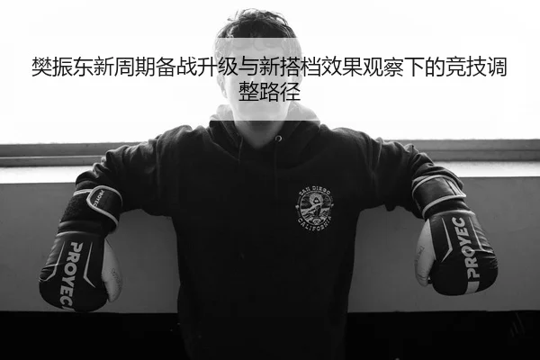 樊振东新周期备战升级与新搭档效果观察下的竞技调整路径