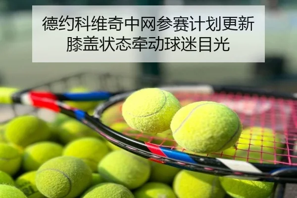 德约科维奇中网参赛计划更新 膝盖状态牵动球迷目光